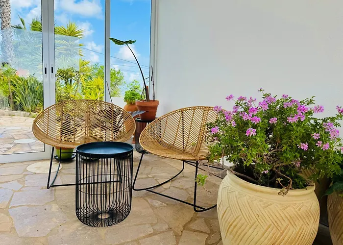 Palm View Guesthouse, Adults Only